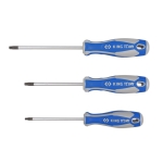 WKRĘTAK TORX Z OTWOREM T30 6.0*125